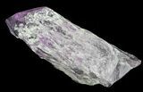 Elestial Amethyst Crystal Point - Madagascar #64756-1